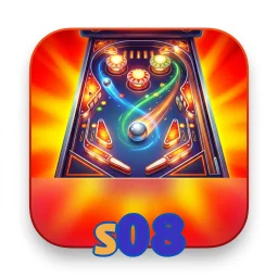 s08